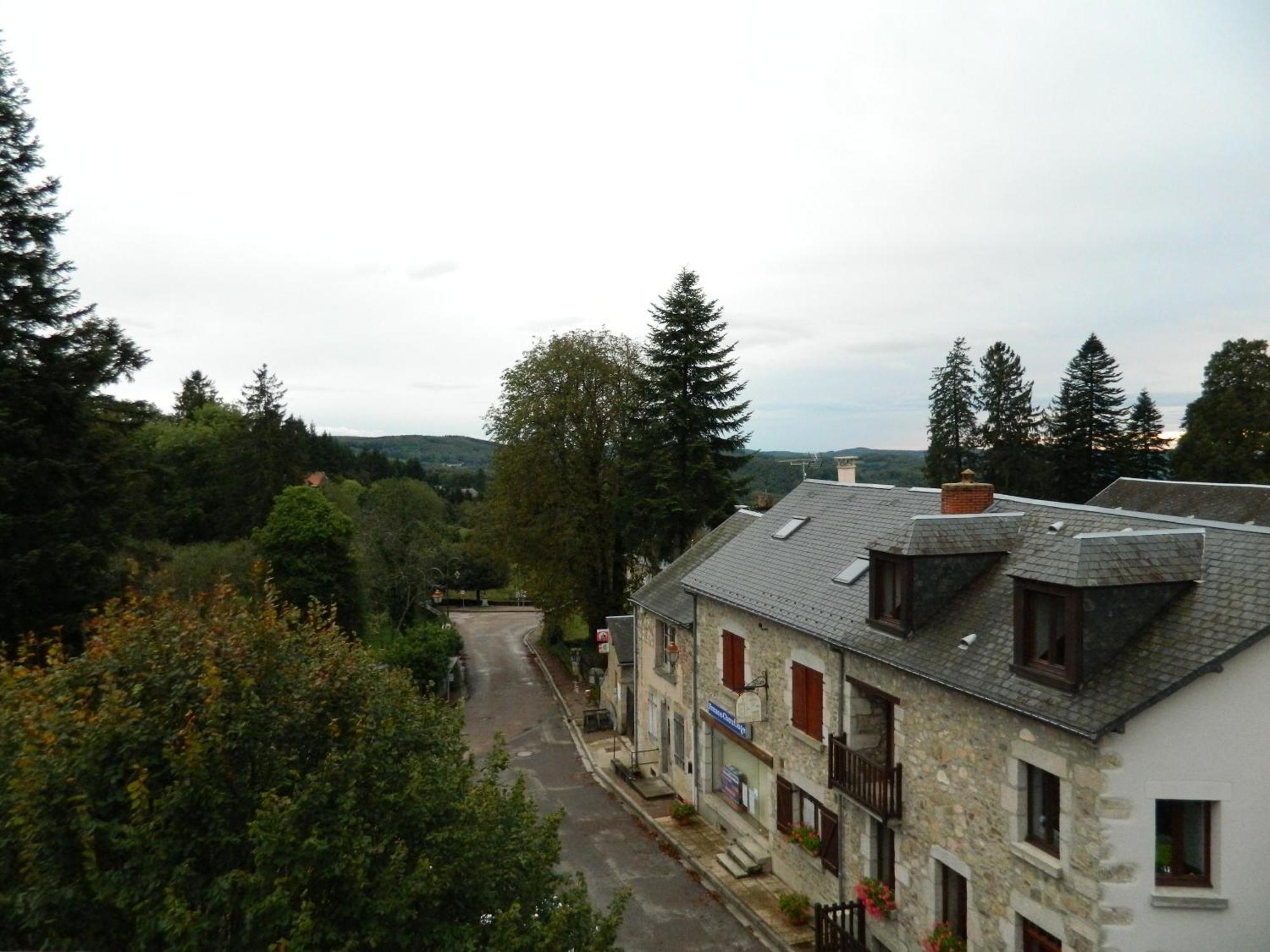 Le Lion D'Or Hotel Ouroux-en-Morvan Luaran gambar