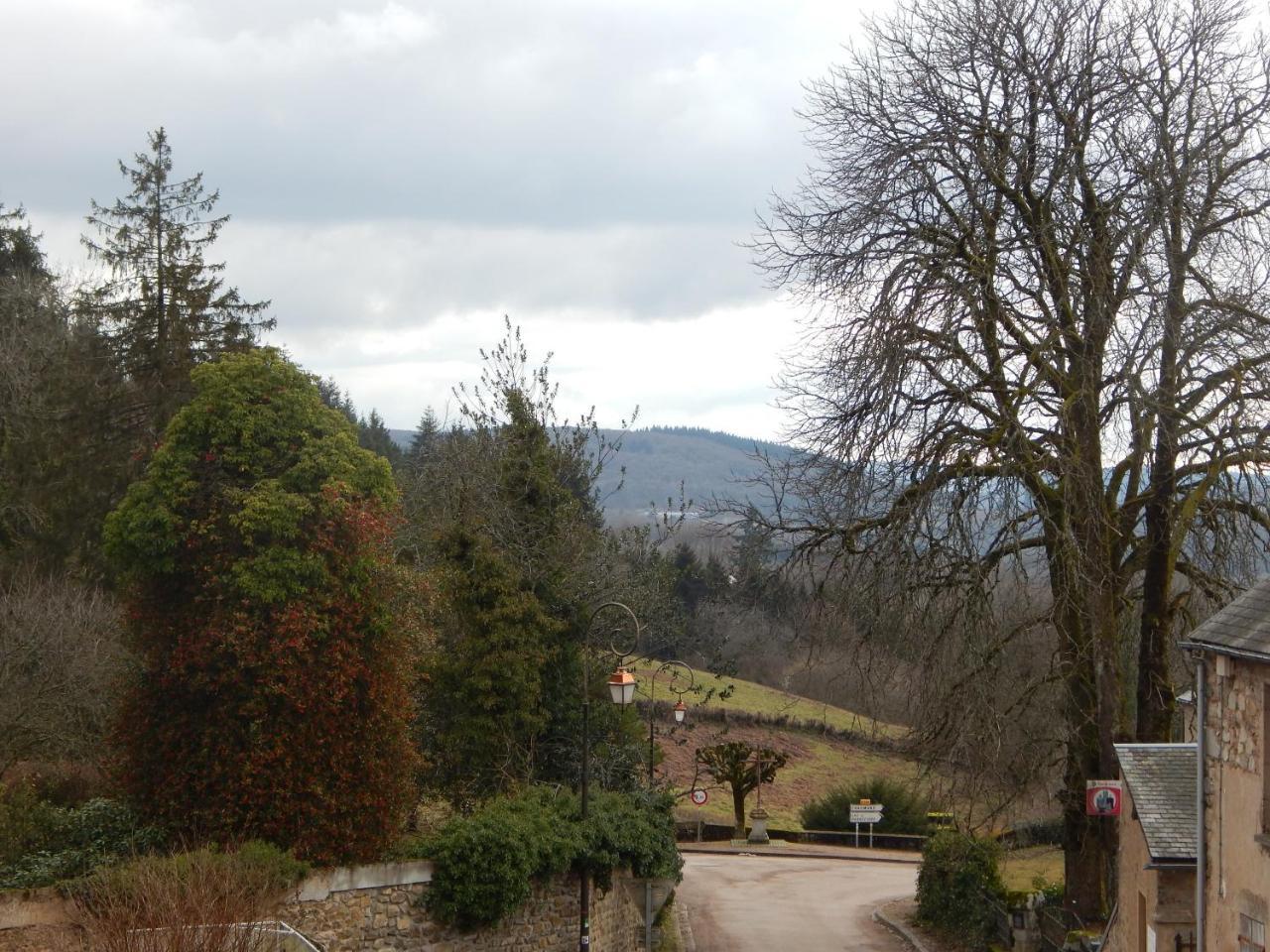 Le Lion D'Or Hotel Ouroux-en-Morvan Luaran gambar